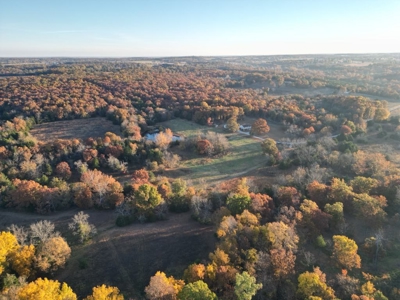 Charming Home on 30 acres with a beautiful pond and creek. - image 11