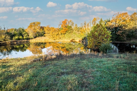 Charming Home on 30 acres with a beautiful pond and creek. - image 23