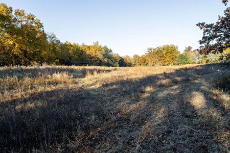 Charming Home on 30 acres with a beautiful pond and creek. - image 47