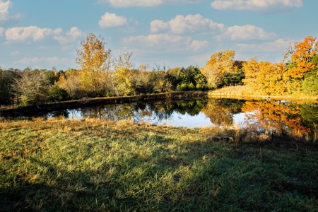 Charming Home on 30 acres with a beautiful pond and creek. - image 22