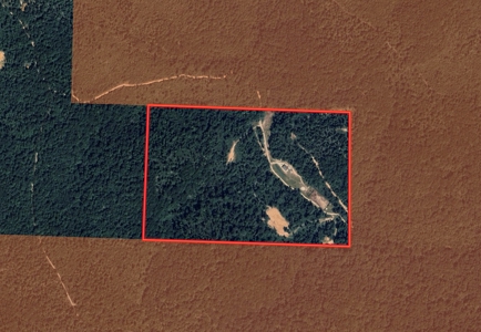 Home and 60+/- Acres Surrounded by Conservation | Shannon Co - image 2
