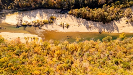 Home and 60+/- Acres Surrounded by Conservation | Shannon Co - image 48