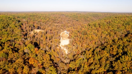 Home and 60+/- Acres Surrounded by Conservation | Shannon Co - image 49