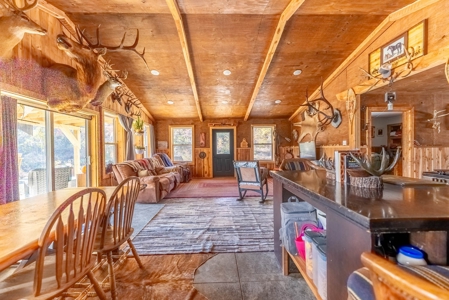 Home and 60+/- Acres Surrounded by Conservation | Shannon Co - image 14