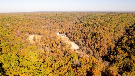 Home and 60+/- Acres Surrounded by Conservation | Shannon Co - image 50