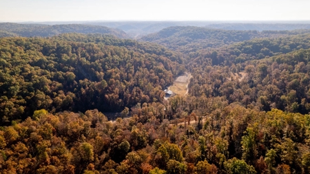 Home and 60+/- Acres Surrounded by Conservation | Shannon Co - image 38