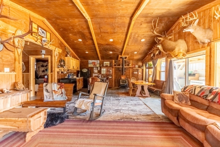 Home and 60+/- Acres Surrounded by Conservation | Shannon Co - image 11