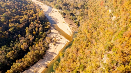 Home and 60+/- Acres Surrounded by Conservation | Shannon Co - image 45