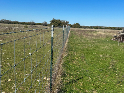 40 Acre Ag Exempt Ranch for Sale in Gatesville, TX - image 10