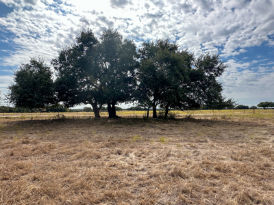 40 Acre Ag Exempt Ranch for Sale in Gatesville, TX - image 20