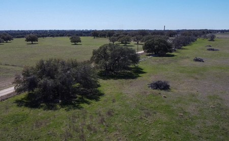 40 Acre Ag Exempt Ranch for Sale in Gatesville, TX - image 8
