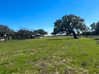 40 Acre Ag Exempt Ranch for Sale in Gatesville, TX - image 3