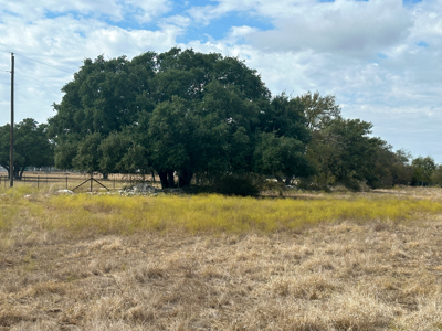 40 Acre Ag Exempt Ranch for Sale in Gatesville, TX - image 23