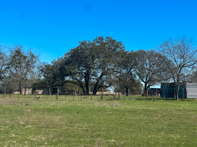 40 Acre Ag Exempt Ranch for Sale in Gatesville, TX - image 6