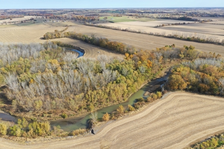Heavily Wooded Small Acreage For Sale - image 9