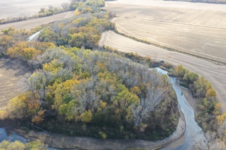 Heavily Wooded Small Acreage For Sale - image 15