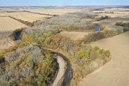 Heavily Wooded Small Acreage For Sale - image 4