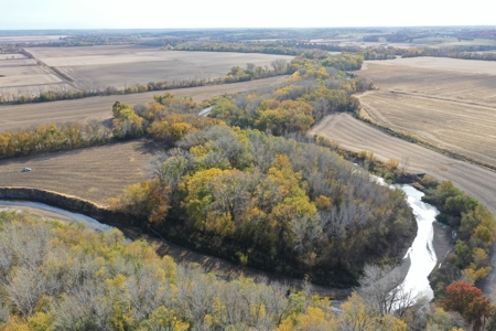 Heavily Wooded Small Acreage For Sale - image 14