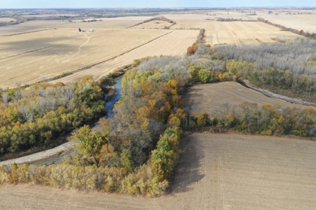 Heavily Wooded Small Acreage For Sale - image 2