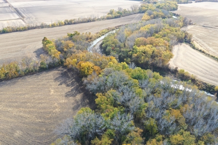 Heavily Wooded Small Acreage For Sale - image 17