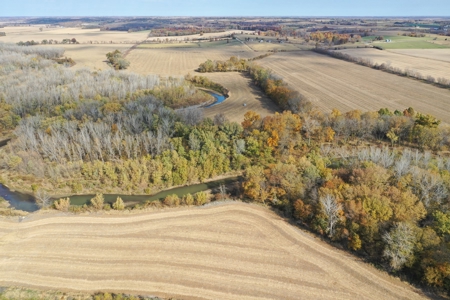 Heavily Wooded Small Acreage For Sale - image 7