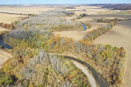 Heavily Wooded Small Acreage For Sale - image 5