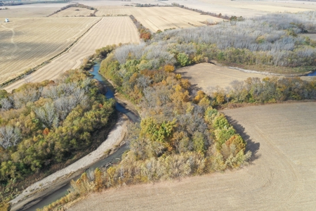 Heavily Wooded Small Acreage For Sale - image 3