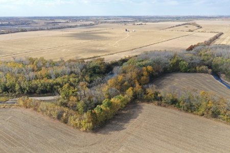 Heavily Wooded Small Acreage For Sale - image 1