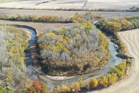 Heavily Wooded Small Acreage For Sale - image 12