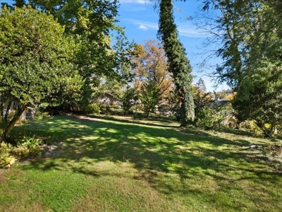 Historical Home for Sale in Christiansburg VA - image 43