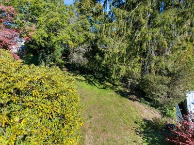 Historical Home for Sale in Christiansburg VA - image 25