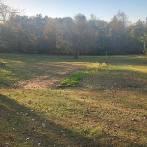 3 bedroom 2 bath country home for sale near Franklin, Ky. - image 8