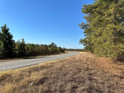 Land For Sale on AR State HWY 138 - image 1