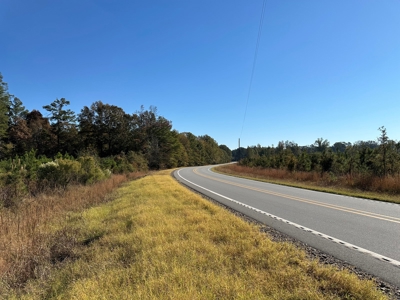 Land For Sale on AR State HWY 138 - image 2