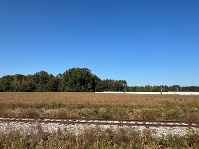 Stunning 3-Bedroom Farmhouse on 24 Acres Near Washington, NC - image 23