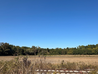 Stunning 3-Bedroom Farmhouse on 24 Acres Near Washington, NC - image 27