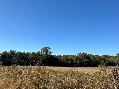 Stunning 3-Bedroom Farmhouse on 24 Acres Near Washington, NC - image 26