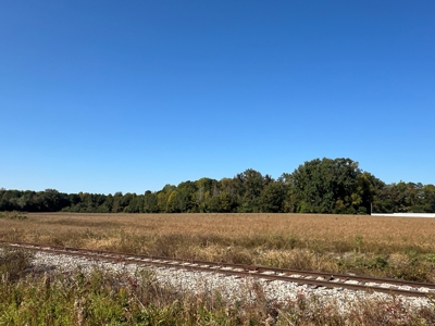 Stunning 3-Bedroom Farmhouse on 24 Acres Near Washington, NC - image 24