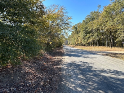 Land For Sale on AR State HWY 138 and Brixie Road - image 3