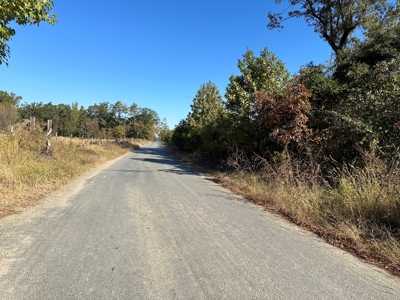 Land For Sale on AR State HWY 138 and Brixie Road - image 2