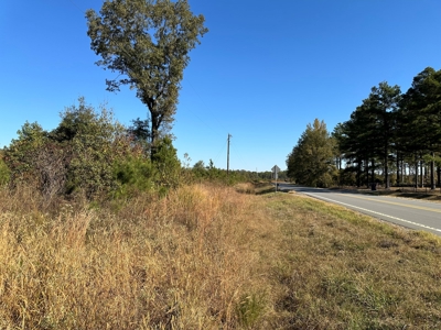 Land For Sale on AR State HWY 138 and Brixie Road - image 1