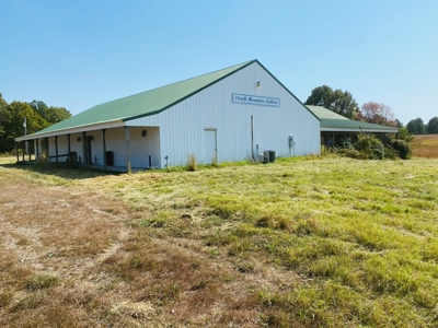 Investment Property On Large Acreage For Sale In Arkansas - image 2