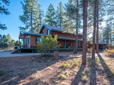 Secluded Mountain Cabin In The Pines - image 14