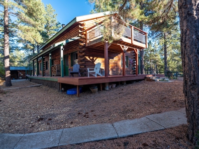 Secluded Mountain Cabin In The Pines - image 18