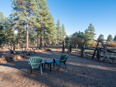 Secluded Mountain Cabin In The Pines - image 5