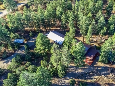 Secluded Mountain Cabin In The Pines - image 19