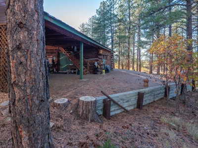 Secluded Mountain Cabin In The Pines - image 11