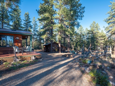 Secluded Mountain Cabin In The Pines - image 13