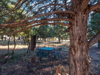 Secluded Mountain Cabin In The Pines - image 4