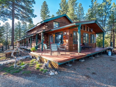 Secluded Mountain Cabin In The Pines - image 1